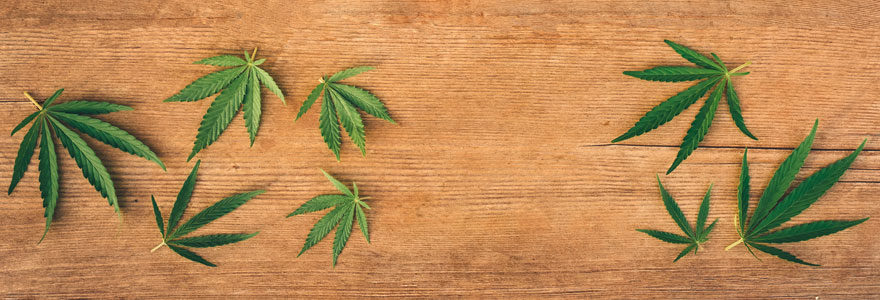 Cannabidiol