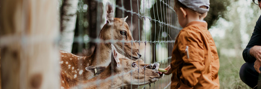 parc animalier