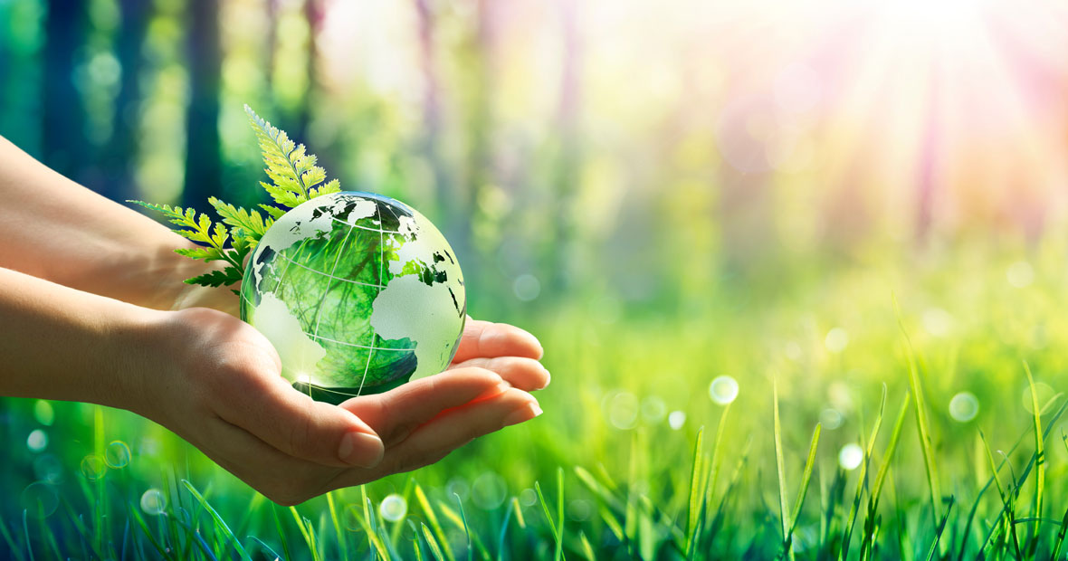environnement