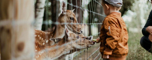 parc animalier