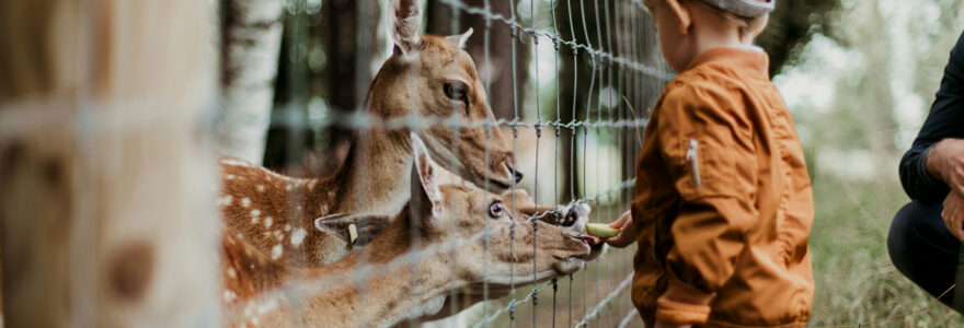 parc animalier