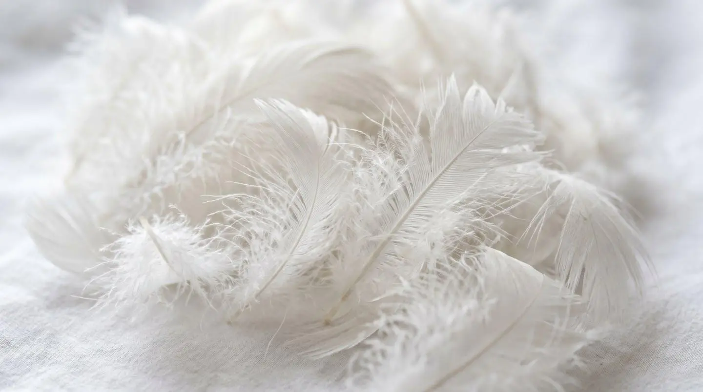 Gros plan rapproché sur la texture délicate de flocons de duvet blanc formant le garnissage d'une couette, avec lumière naturelle latérale créant du relief