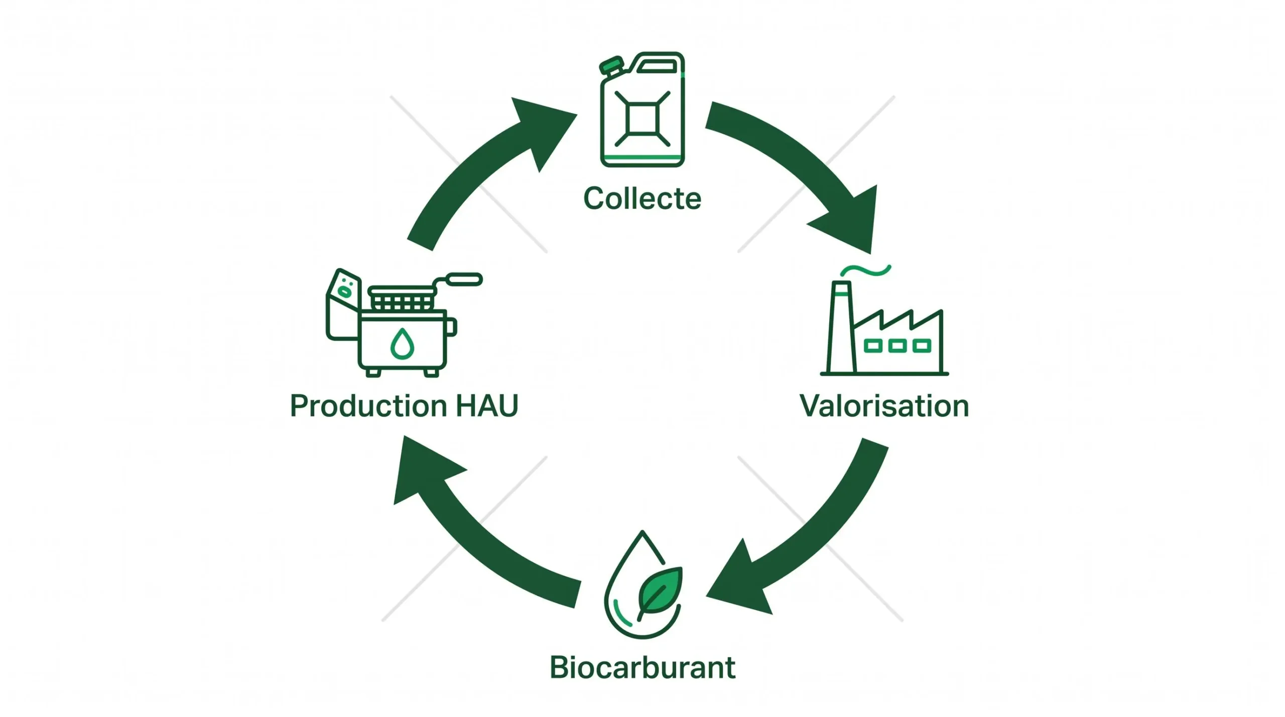 Schéma circulaire illustrant le cycle de l'économie circulaire : collecte d'huile alimentaire usagée, transformation en biocarburant et valorisation environnementale